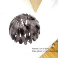 thumbnail image 2 of Vogacara Pinzas para el pelo para mujer, pinza fija, horquilla de nido de pájaro a la moda, tocado de cola de caballo extensible, decoración, hebilla, Cuidado del cabello color café oscuro Vogacara CE003181-06, 2 of 6