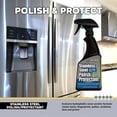 thumbnail image 6 of Flitz SS01306 Stainless Steel Polish/Protectant 16oz/473ml, 6 of 7