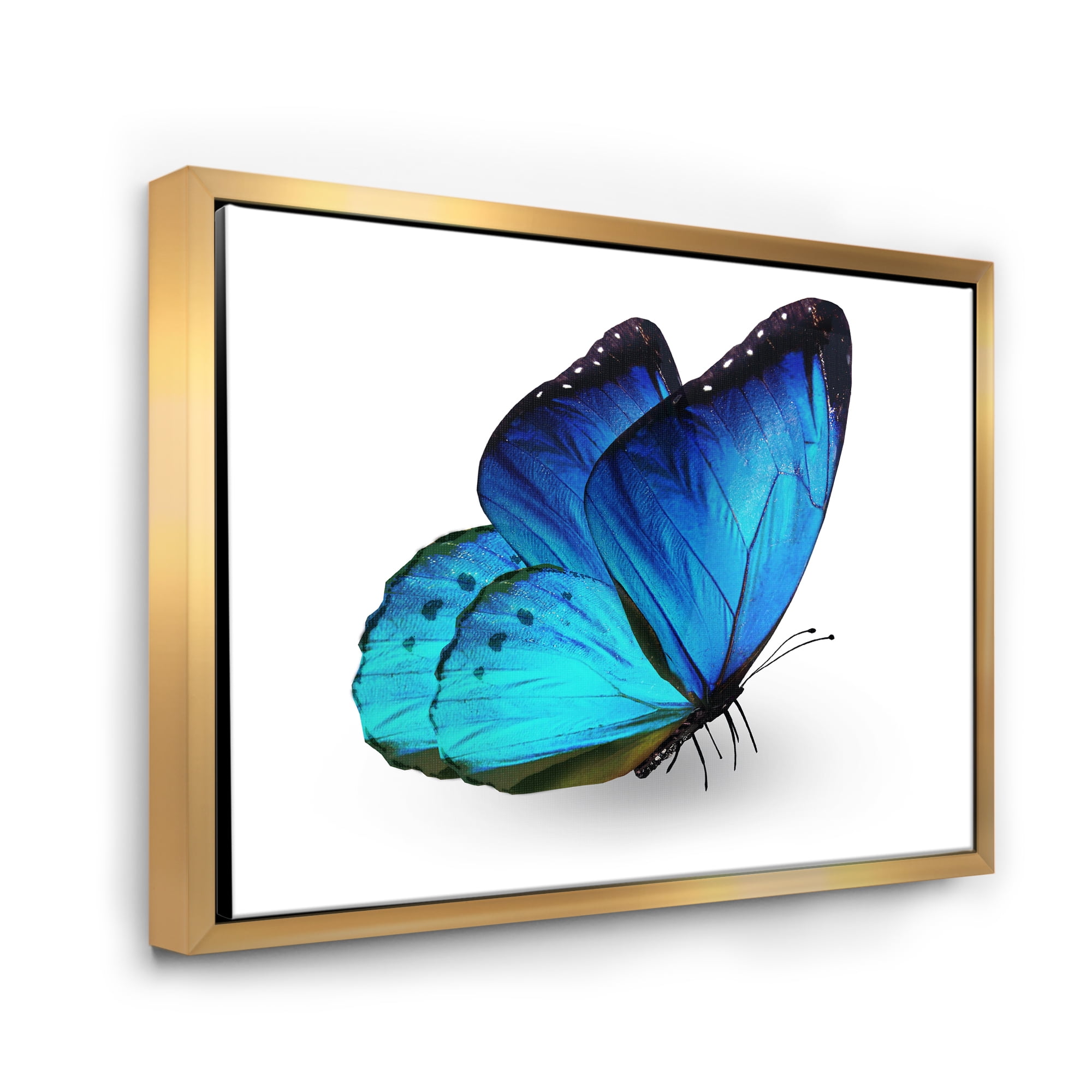 Designart 'Close Up Of Vibrant Blue Butterfly On White' Modern Framed Canvas Wall Art Print