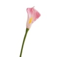 thumbnail image 1 of Ramos de alcatraces Matsuzay 20 unids/set no tóxicos para decoración de fiesta Rosa, 1 of 6