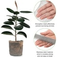 thumbnail image 4 of 2 Pcs Gopher Proof Wire Basket,Plant Root Guard Baskets, Stainless Steel Gopher and Vole Wire Baskets,Gopher Stainless Steel Mesh,Root Protector Baskets for for Plant Root Vegetables Protection, 4 of 7