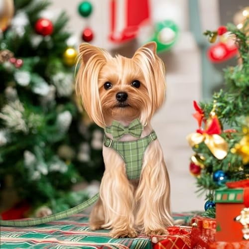 Cute Extra Small Dog Harness Collar and Leash Set with Bowtie, Soft Adjustable Plaid Puppy Harness for Small Sized Dogs Cats Walks Parties and Photoshoots(Green,XXS:Chest 12-14")