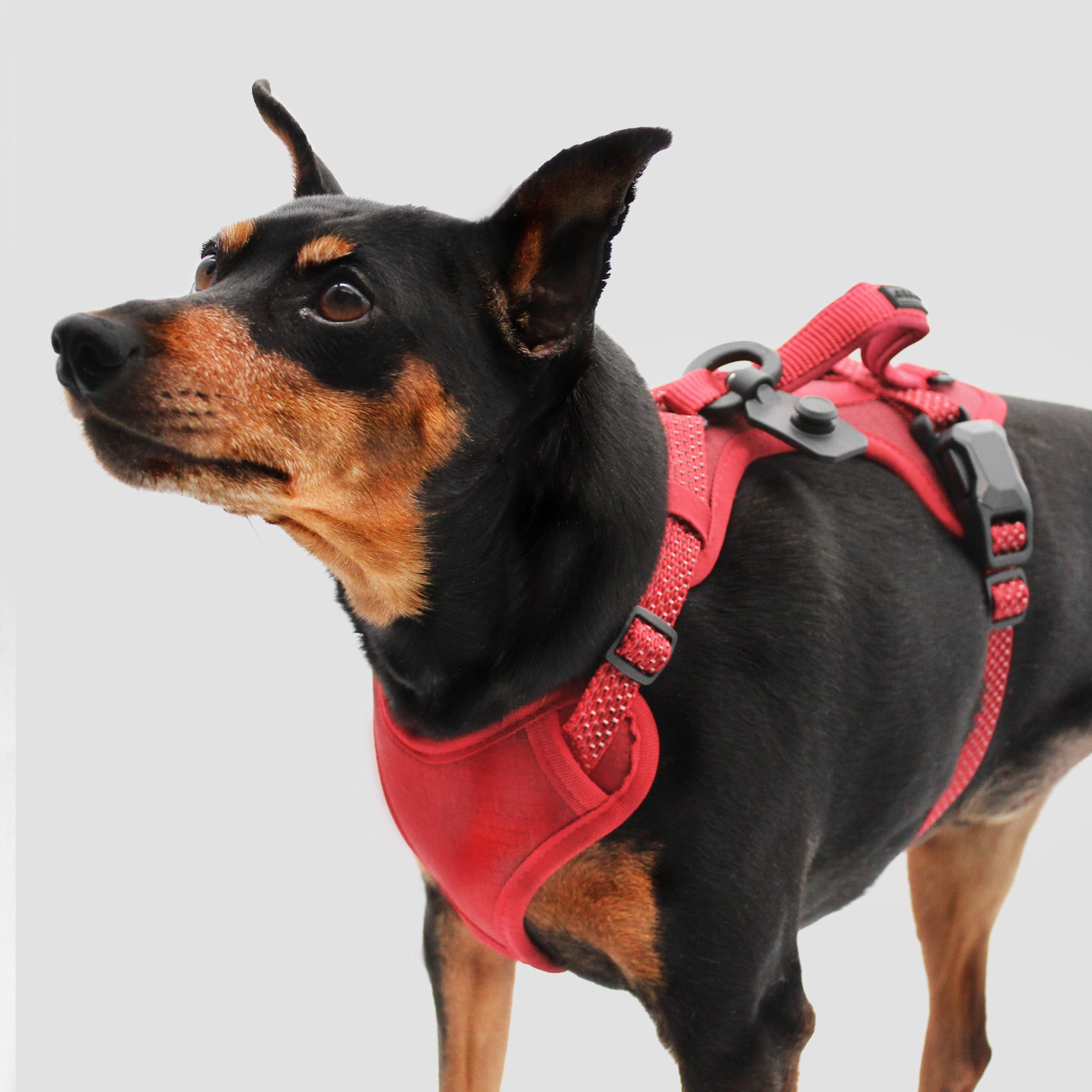 HOOZA Quick Clip Dog Harness & Flat Leash Set, Red Large – Magnetic Buckle, Reflective, Control