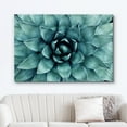 thumbnail image 2 of HFDF Canvas Prt Wall Art Closeup of Teal Rose Succulent Floral Plants Photography Realism Rustic Scenic Colorful Ultra for Livg Room, Bedroom, Office - 24x20inch Framed, 2 of 6