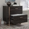 thumbnail image 4 of Pemberly Row Contemporary Engineered Wood Lateral File in Blade Walnut, 4 of 9
