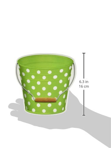 Polka Dots Buckets Accents Teacher Created Resources TCR5631 