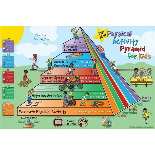 Fitness For Life Physical Activity Pyramid For Kids Other Walmart Com