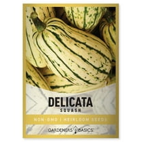 Delicata Squash Seeds