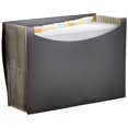 thumbnail image 1 of Carpeta organizadora expandible Amazon Basics negra, paquete de 1, 1 of 6