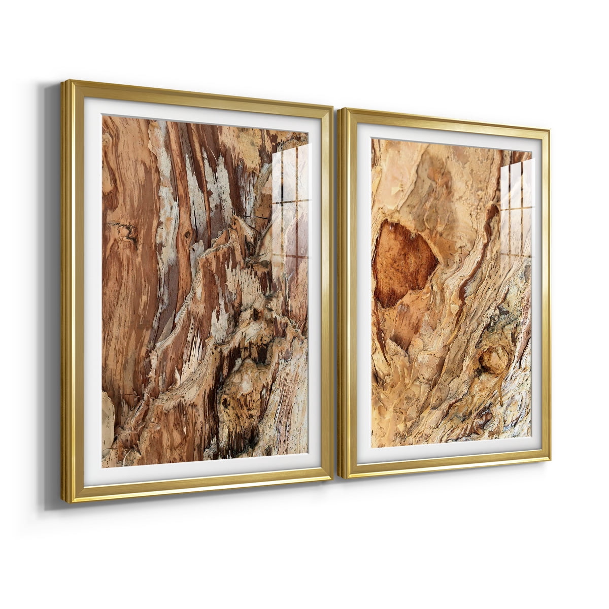 Wexford Home Tree Texture Triptych I Premium Framed Print, 30.5" x 42.5" - Ready to Hang, Gold (Set of 2)