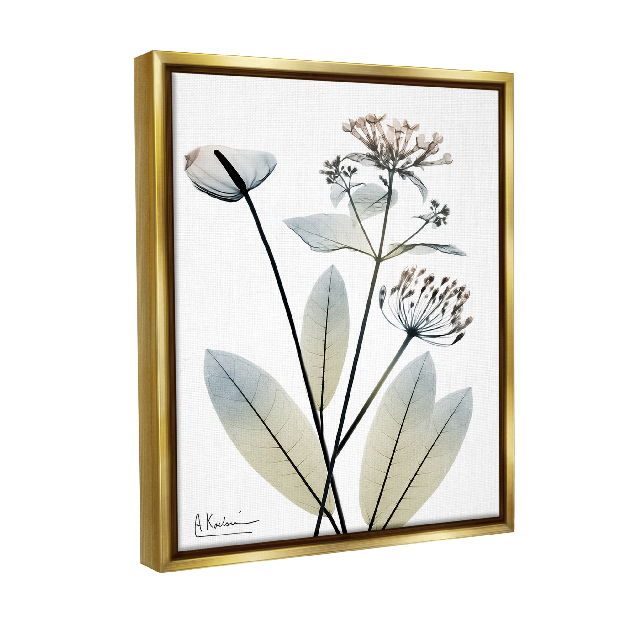 Stupell Industries Contemporary Flower Shapes Botanical & Floral Photography Gold Floater Framed Canvas Art Print Wall Art, 25 x 31