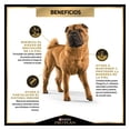 thumbnail image 3 of Alimento para perro Smart Bites Gold Care Adulto 25 kg, 3 of 3