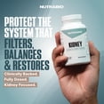 thumbnail image 2 of NutraBio Advanced Kidney Support Supplement- Kidney Cleanse Detox & Repair, Health Supplement- 30 Servings- 90 Capsules, 2 of 9