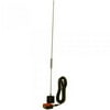 Tram WSP1198S Glass Mount CB with Weather-Band Mobile Antenna