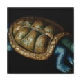 thumbnail image 2 of Box Turtle Baroque - Canvas, 2 of 25
