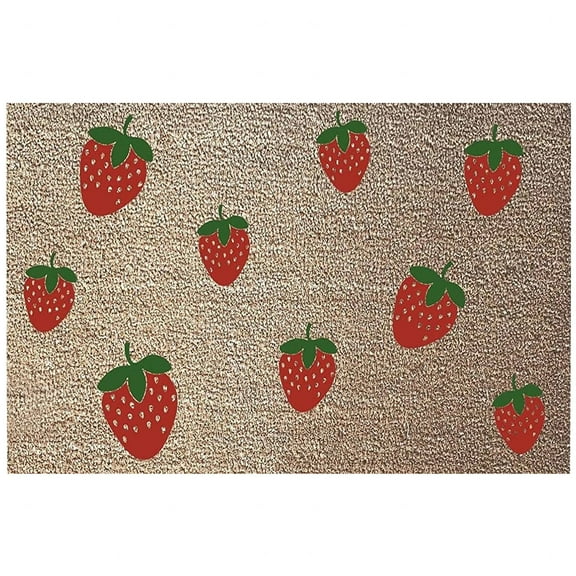 Dvkptbk Door Mat Summer Floor Mats Door Mats Outdoor Doormat Classroom Decor Teacher Welcome Mat for Outdoor and Indoor Uses, Home Decor, 16x24IN Home Decor on Clearance