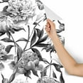 thumbnail image 3 of MuralsPrint Hand Drawn  Peonies Removable Wallpaper - 10'ft H x 24''inch W, 3 of 4