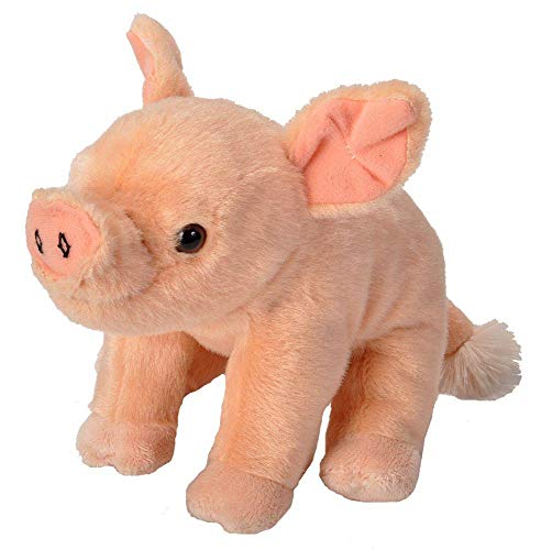 pig teddy bear gift
