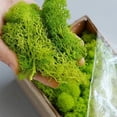 thumbnail image 5 of Plantas verdes artificiales Césped falso Césped de musgo de vida eterna para decoración del hogar, sala de estar, jardín, minipaisaje, manualidades de bricolaje, 200 g, 5 of 5