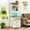 Antique White, variant on Farmhouse Tall Nightstand with Charging Station and LED Lights, Extral Tall Bed Side Table with 2 Drawers and Bookshelf & 6 Hooks, Easy to Assembly, Antique White