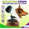 thumbnail image 2 of Katziela Dog Harness Walking Kit and Leash Set in Black Medium for Dogs Pack 1, 2 of 7