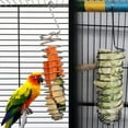 thumbnail image 6 of 2 Pack Spray Holder Parrot Spray Millet Treat Holder Parakeet Treat Sticks Feeder For Natural Bird Millet Treats Crunch Sticks Bars Bird Chew Toys Carrot Cuttlebone Calcium Block, 6 of 9
