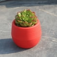thumbnail image 3 of 5 Pack Mini Succulent Pot, 3 Inch Plastic Seed Starter Pots Small Cute Succulent Planter with Drainage for Indoor & Outdoor Plants, Home Decor, Free Assembly, 3 of 6