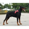 thumbnail image 5 of No Pull Dog Harness with Handle, Reflective Adjustable Vest for Small Medium Large Dogs Walking Training Traveling S Size, 5 of 8