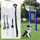 thumbnail image 4 of Juguete colgante de cuerda elástica para exteriores para perros, juguete interactivo de bola de cuerda para tirar Negro Zulema Tire de la bola de la cuerda, 4 of 8