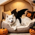 thumbnail image 3 of Dog Cat Bat Wings Costume with Pumpkin Bell, Funny Halloween Cosplay Dress-Up Accessories, Spooky Fall Festival Party Photo Prop for All Breeds Black XS, 3 of 5