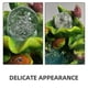 thumbnail image 2 of 2pcs Transparent Crystal Ball For Water Fountain Decor Clear Sphere Exquisite Ball Ornaments For Home And Office Water Fountain Sphere (6cm Ball), 2 of 4