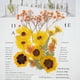 thumbnail image 1 of Fiudx Set de Flores Secas Naturales, Materiales para Manualidades con Flores Naturales, Proyectos de Joyería y Resina, Decoración Romántica para El Hogar, Creación de Tarjetas de Felicitación, 1 Paqu, 1 of 2