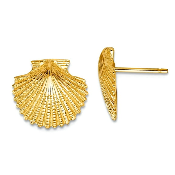 14k Yellow Gold Textured Polished Scallop Shell Post Earrings 13x13mm Wide Stud Earring for Women