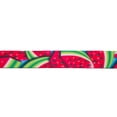 thumbnail image 2 of Country Brook Design - Summer Melon Polyester Webbing (1 1/2 Inch, 10 Yards), 2 of 4