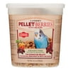 Lafeber's Pellet-Berries Sunny Orchard Parakeet Bird Food, 12.5 Oz
