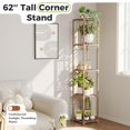 thumbnail image 2 of Soporte de esquina para plantas de interior, estante alto para plantas de madera de 5 niveles para múltiples soportes de flores, estante para plantas, sala de estar, jardín, patio, ventana, 2 of 7