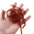 thumbnail image 2 of 10 Pcs Simulation Earthworms Tricky Toys Artificial Earthworms Simulation Toys Models, 2 of 9