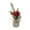 Apple, variant on Sharprepublic Tabletop Artificial Christmas Tree Small Xmas Tree Mini Christmas Tree for Party Pinecone