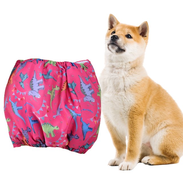 CBFFDC Double-sided Waterproof Pet Pants Fast Absorption Pet Sanitary Pant with Leak Proof and Comfortable Feature Washable Male Dog Belly Band Diapers for Incontinence Puppy Training