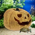 thumbnail image 1 of unbranded Refugio Para Reptiles En Resina Con De Calabaza Marrón, 1 of 6