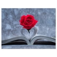 thumbnail image 2 of Red Rose Inside the Book - Floral Art Canvas Print, 2 of 3