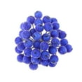 thumbnail image 1 of 200pcs Mini de Acebo Artificial Decoración Navidad Azul Azul oscuro, 1 of 7
