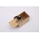 thumbnail image 1 of Juguete de broma, caja pequeña de madera, caja de insectos de broma de Halloween, juguete aterrador, caja de araña, 1 of 5