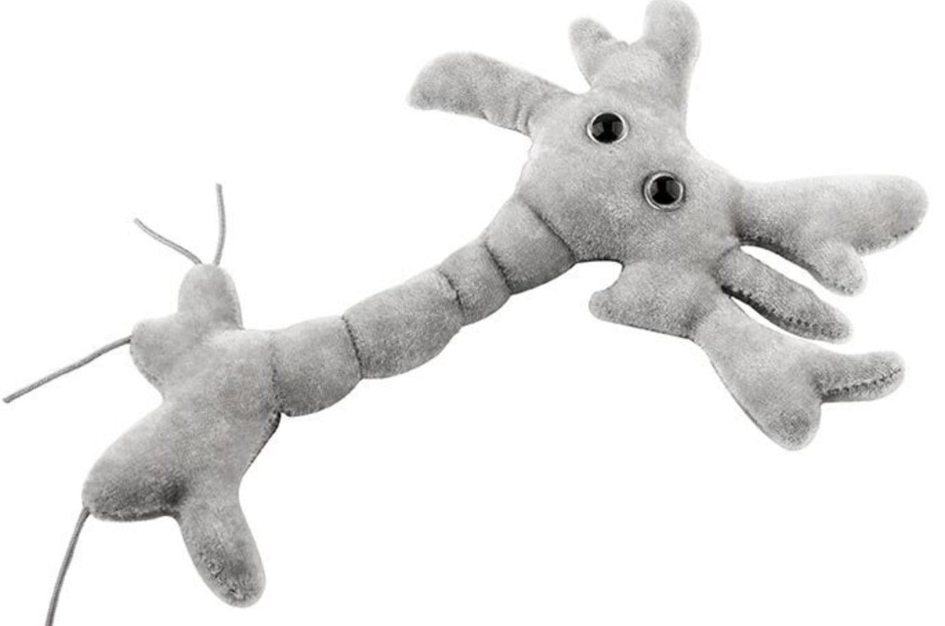 Brain store cell plush