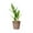 C, variant on Bfogop Lucky Bamboo, Fake Plants Artificial Green Simulation Plant Potted Home Office Hotel Lobby Decoration Green Plants Home Decoration Artificial Plants 17 Inch