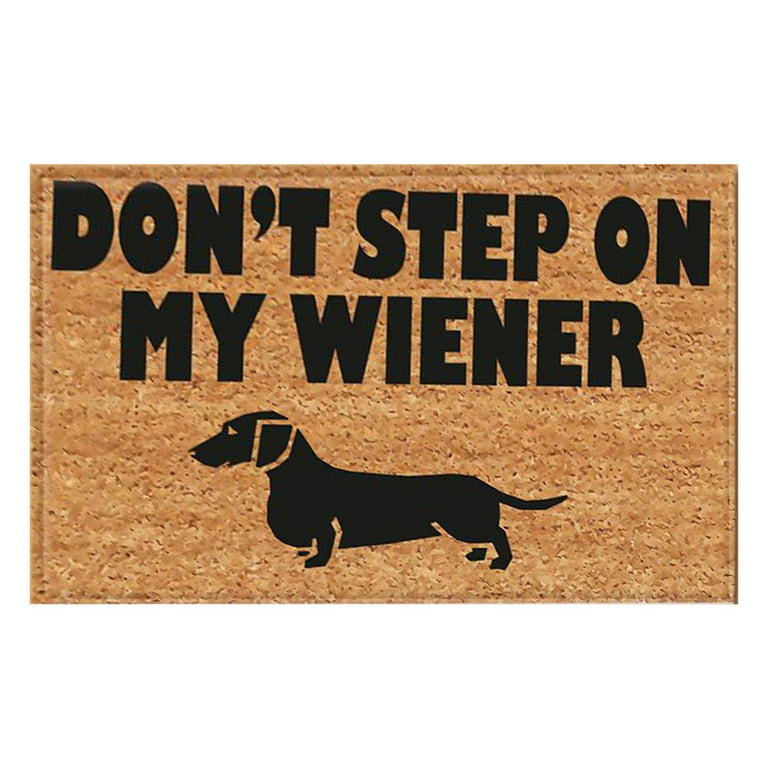 Dogs Welcome People Tolerated Doormat 23.6x15.7 inch, Dogs Welcome Door Mat, Dogs Welcome Entrance Mat Thick Non-Slip, Dogs Welcome Mat, Funny Welcome