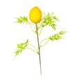 thumbnail image 4 of PELÍCULA PELÍCULA EL HUG TWIG RAMA ORNAMENTES Central de mesa artificial Pick Flower Decoración de Pascua para el jarrón de festivales en el hogar Amarillo, 4 of 8