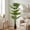 Black (DIY Pot), variant on Easy4Home 5.3FT Artificial Plant Fake Tropical Potted Tree Indoor Faux Floor Plant for Home Office Decor