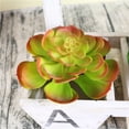 thumbnail image 6 of Joernso 1Pc Plastic Fake Artificial Succulents Plant Bonsai Garden Home Office Decor, 6 of 8