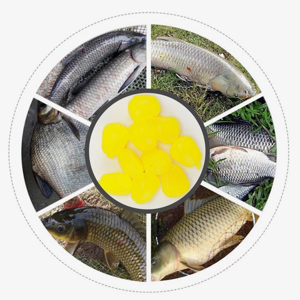 MYG 173pcs Carp Fishing Tackle Box Kit Carp Fishing Rigs